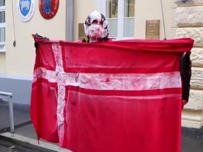 Одиночный пикет у посольства Дании в Москве против массового убийства норок, 7.11.2020. Скрин: m24.ru